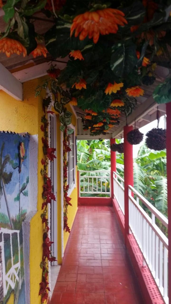 Posada Nativa Licy San Andres  Luaran gambar